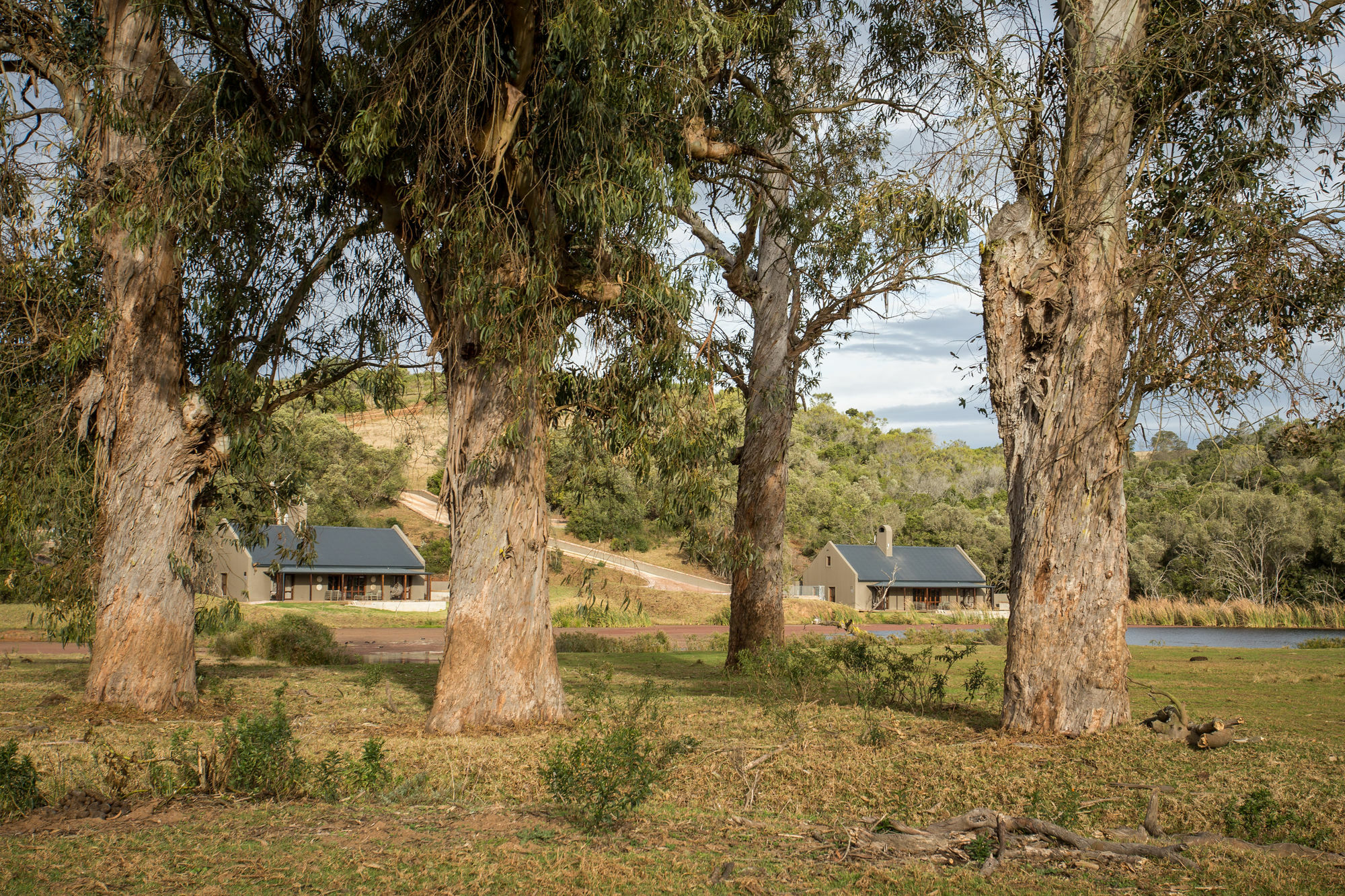 Botlierskop Bush Villas Sandhoogte Exterior photo